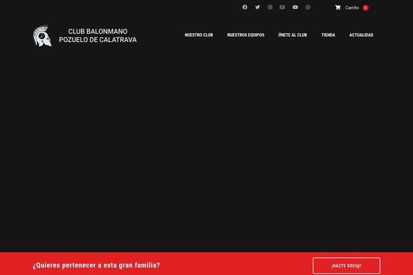 Splash-child theme site design template sample