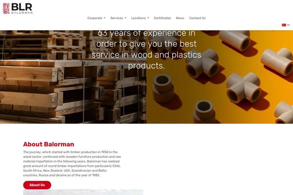 balorman.com site used Windmedya