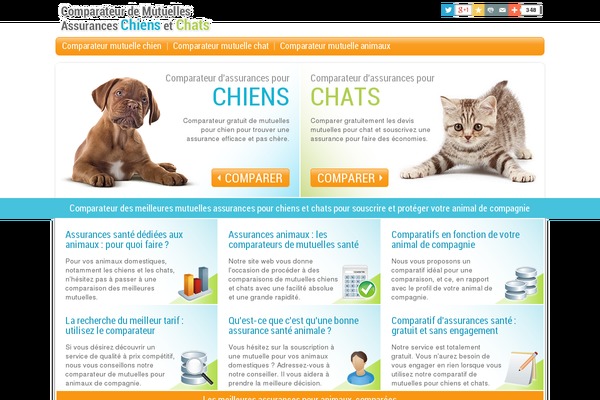 baloune theme websites examples