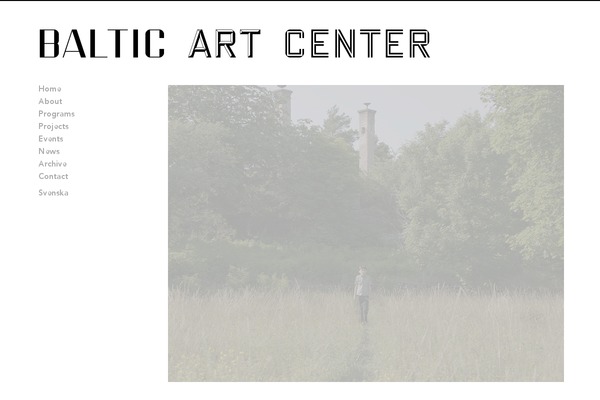 Bac theme site design template sample