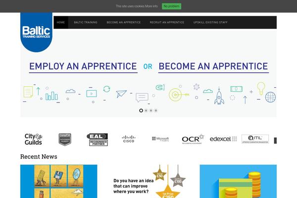 baltic theme websites examples