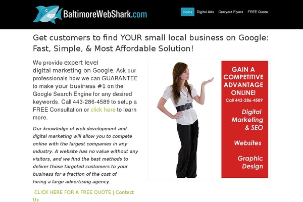 baltimorewebshark.com site used Sharks-theme
