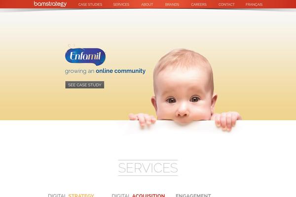 Scrn theme site design template sample