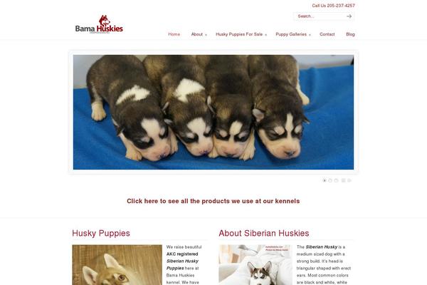 Site using VideoPress plugin