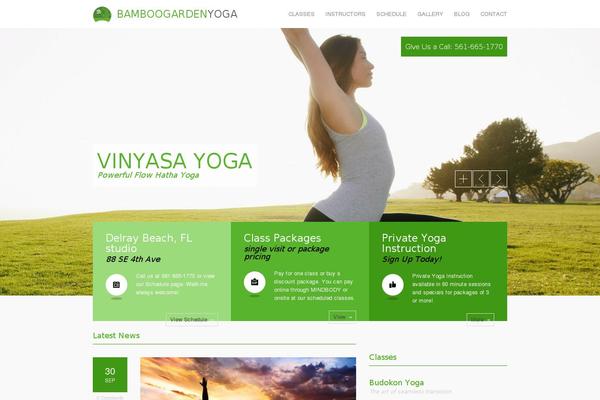 Site using Social Media Widget plugin