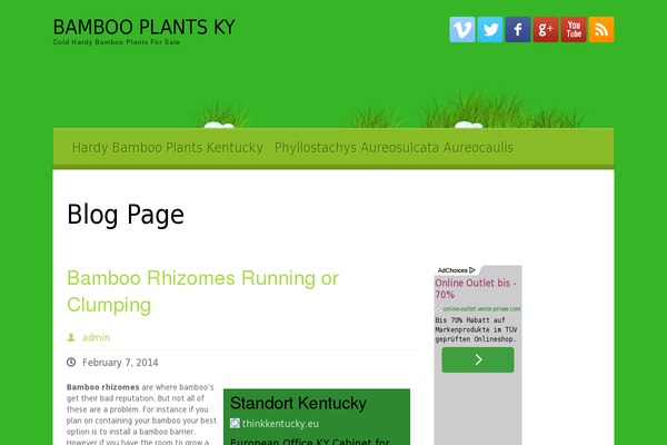 My-world-with-grass-and-dew theme site design template sample