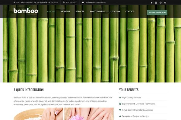 Site using SetMore Appointments plugin