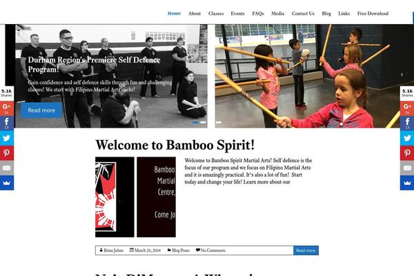 Spacious Pro theme site design template sample