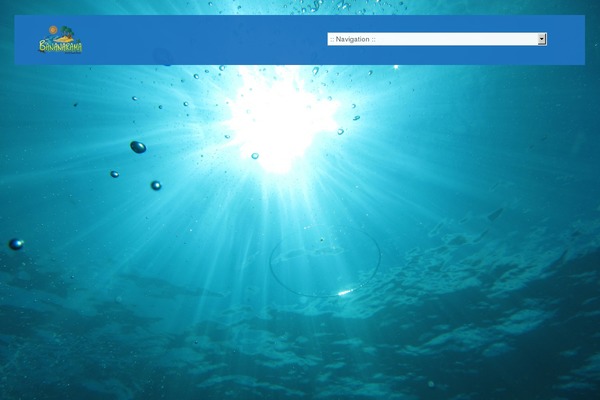 Vierra theme site design template sample