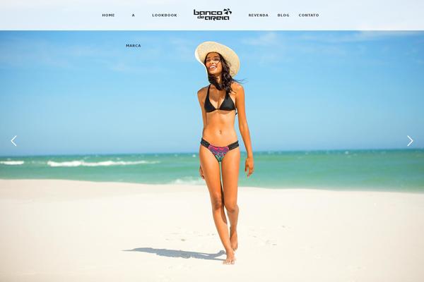 Site using Elfsight-instashow plugin