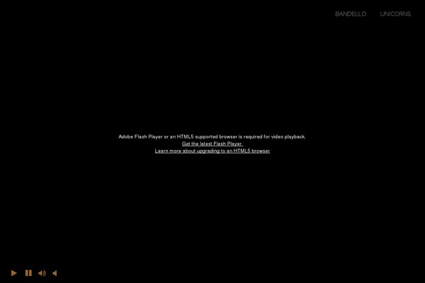 Capture theme site design template sample
