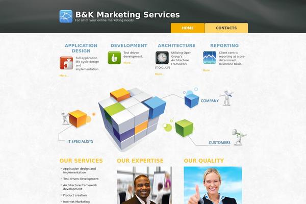 bandk theme websites examples