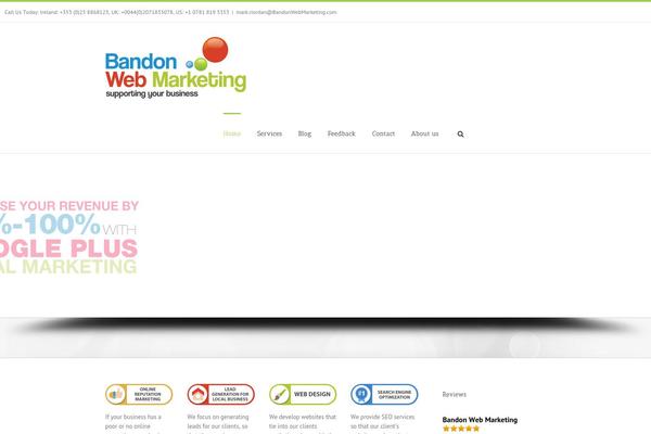 Site using Advanced-social-widget plugin