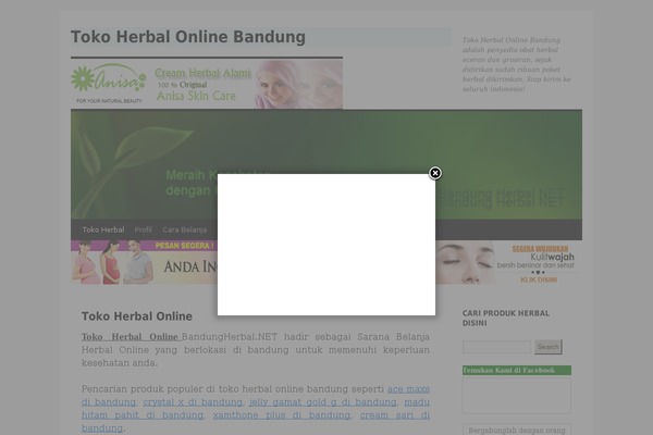 bandungherbal.net site used Vina3