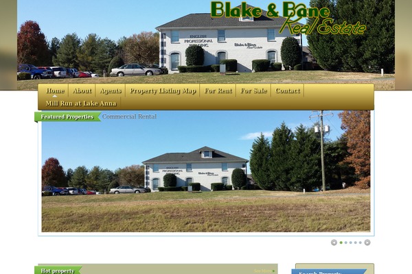 banerealestate.com site used Realtr