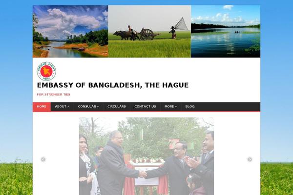 MH Magazine lite theme site design template sample