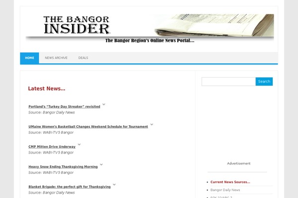 Iconic One theme site design template sample