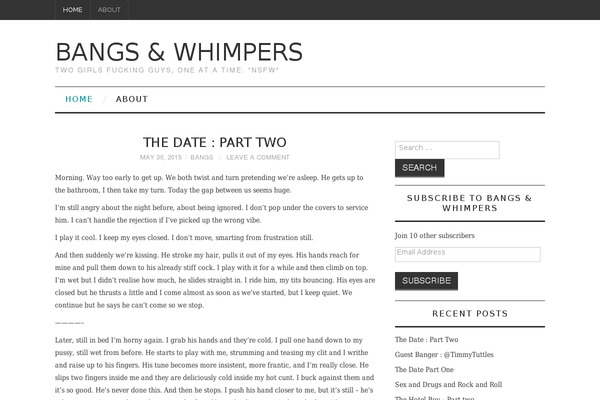 Fashionistas theme site design template sample