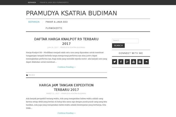 Fashionistas theme site design template sample