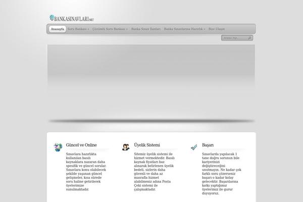 TheProfessional theme site design template sample