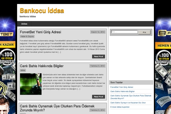 Asteroid theme site design template sample