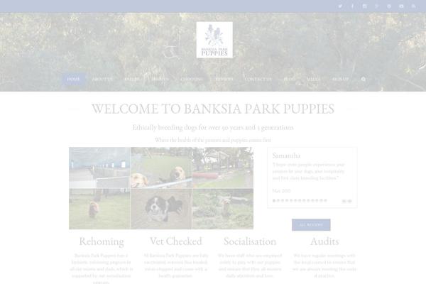 Site using BNE Testimonials plugin