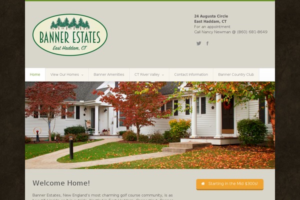 Avamys theme site design template sample