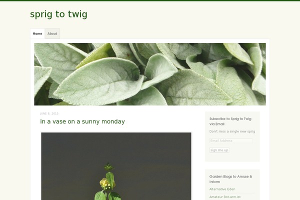 bannersbyricki.com site used Misty Lake