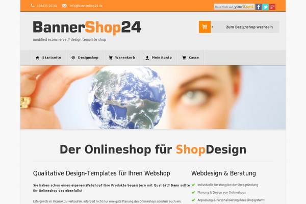 exitoso theme websites examples