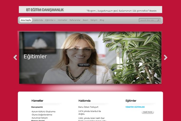TheProfessional theme site design template sample