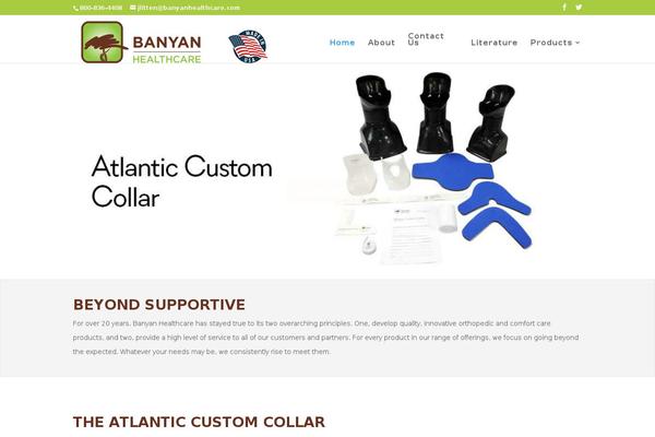 Site using Divi-booster plugin