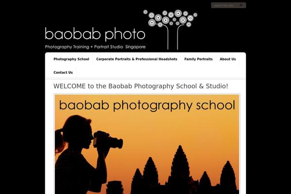 Aggregate theme site design template sample