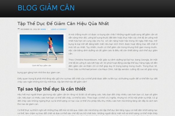 Nitrous Child Theme theme site design template sample
