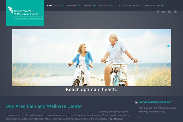 Fizz theme site design template sample