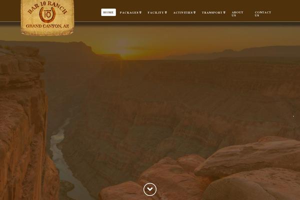 Site using X-email-mailchimp plugin
