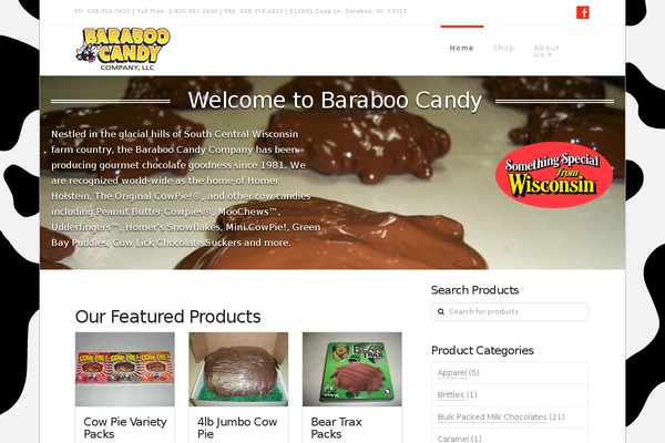 x2 theme site design template sample