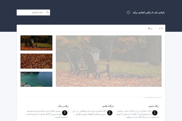 Abundance theme site design template sample