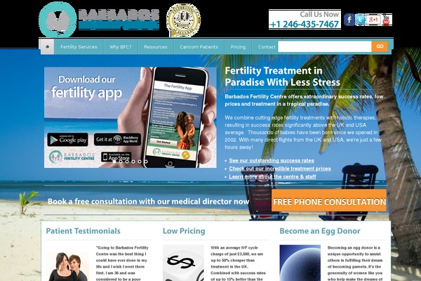 Optima theme site design template sample