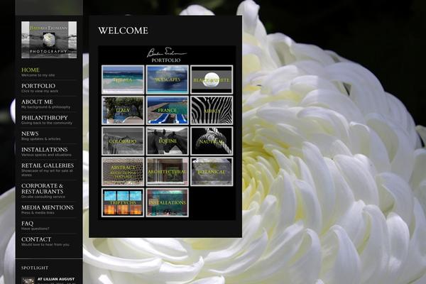 Flashlight theme site design template sample