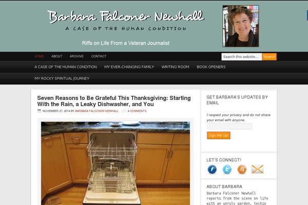 Magazine Pro theme site design template sample