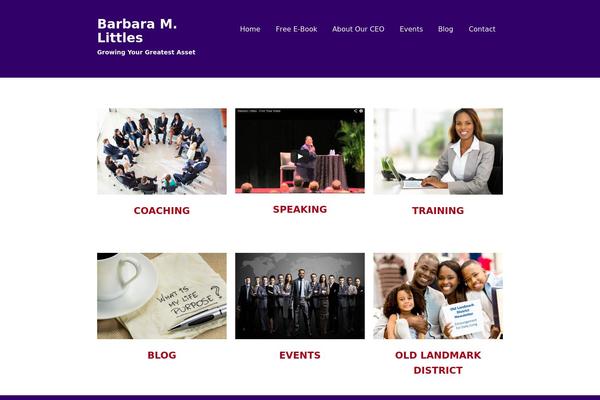 Pogon theme site design template sample