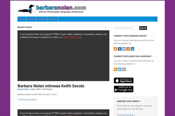 Wp Clearvideo theme site design template sample