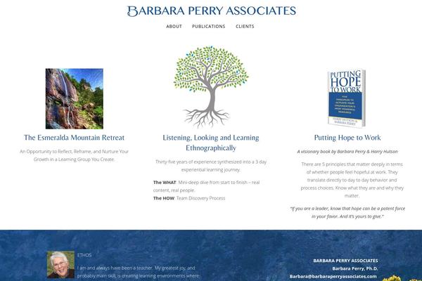Site using WP Retina 2x plugin