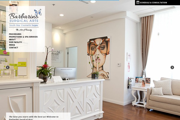 Bsa theme site design template sample