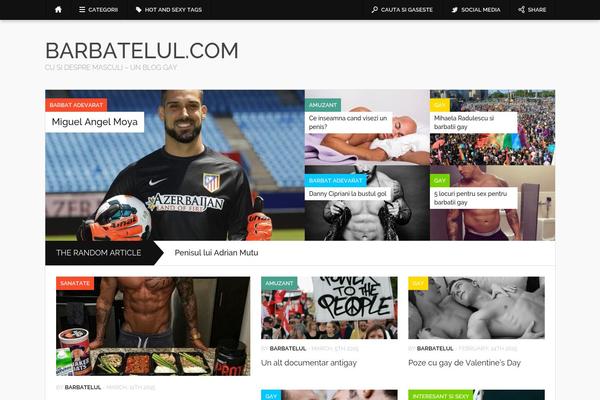 Codilight theme site design template sample