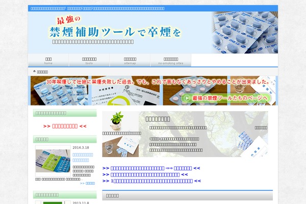 Jin theme site design template sample