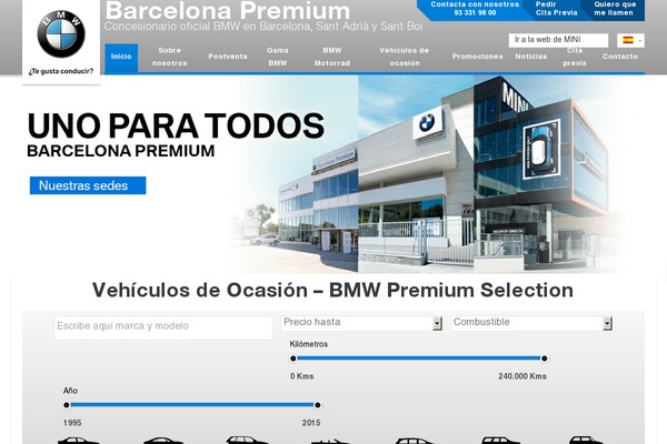 Site using Post-type-coches plugin