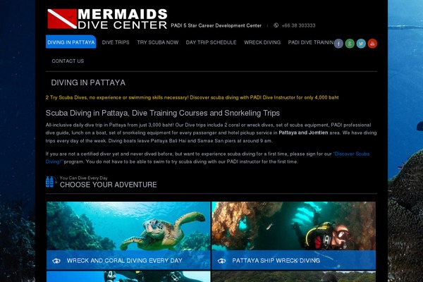 Maestro theme site design template sample