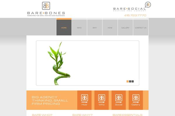 barebonesmarketing.ca site used Theme1708