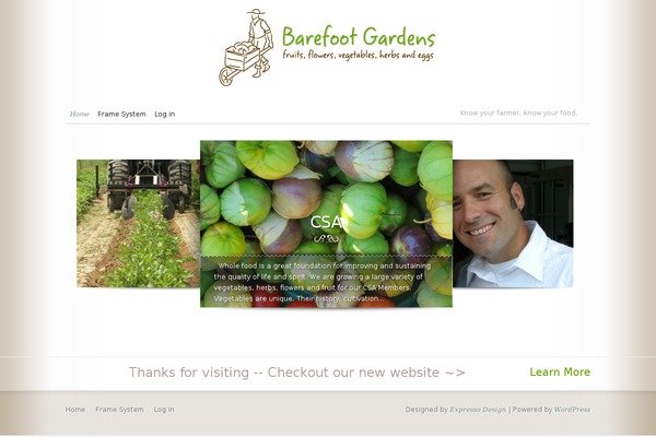 Modest theme site design template sample